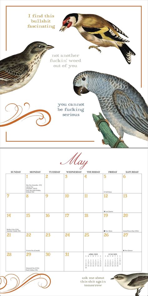 Effin Birds Calendar 2023